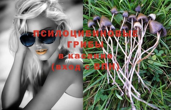 тгк Волосово