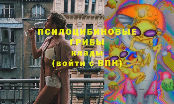 apvp Волоколамск